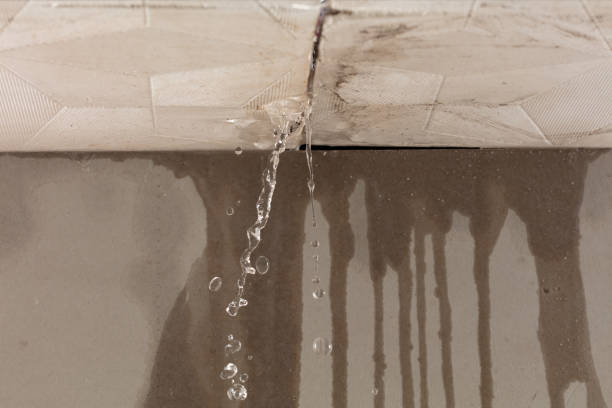 Professional Burst Pipe Cleanup technician working in Sherman, CT